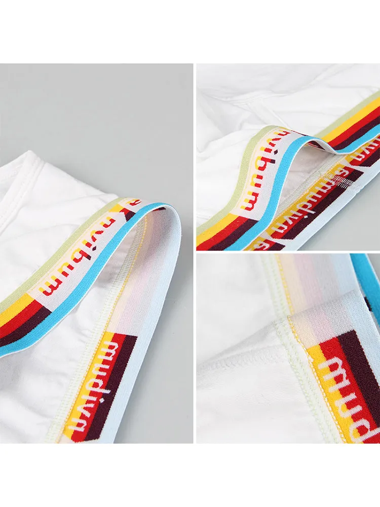 2 Pack Men's Rainbow Waistband Big Pouch Briefs