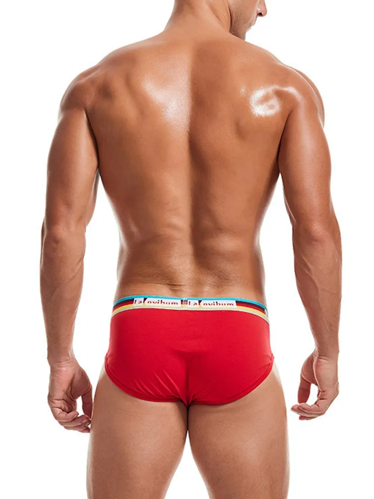 2 Pack Men's Rainbow Waistband Big Pouch Briefs