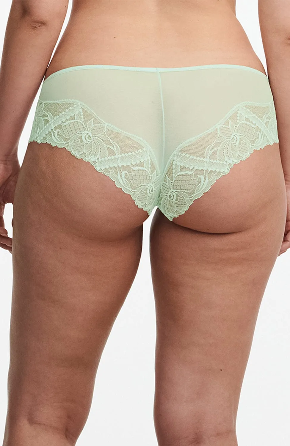 Orangerie Dream Brief