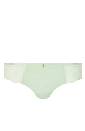 Orangerie Dream Brief