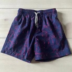 Vintage Summer Flamingo Pattern Swim Trunks